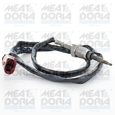 Sensor, exhaust gas temperature